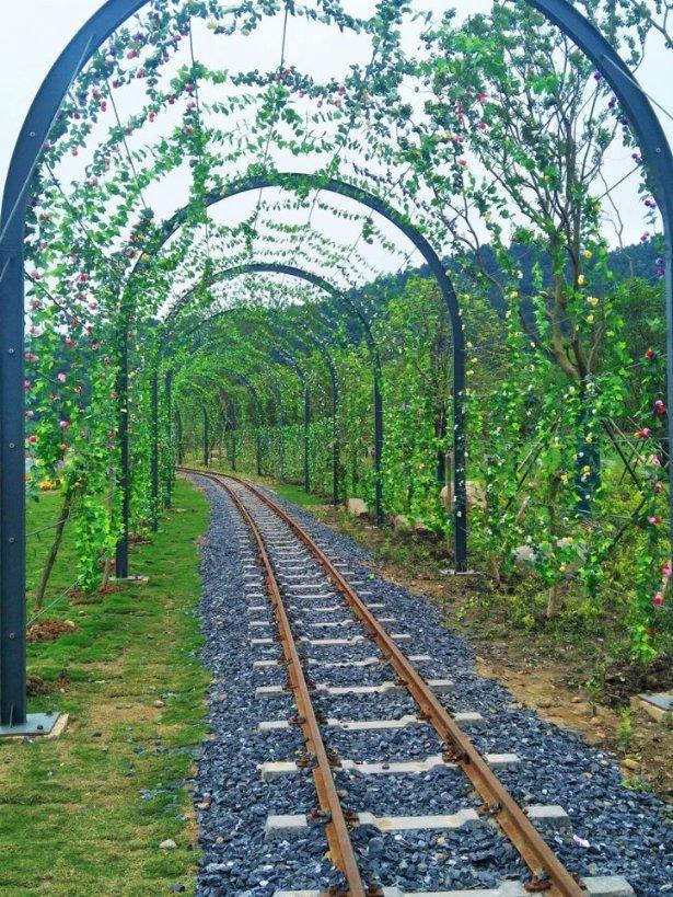 钟南山说不抓紧打疫苗有危险，国门若开放后，中国不接种人群会有何风险？游戏画面