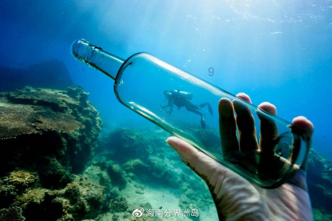 宠物世界聚会