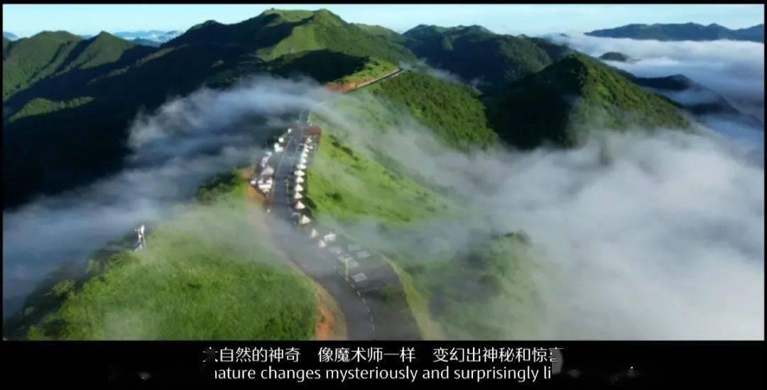 原始丛林找星星