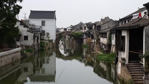 哈尼和她的宠物们