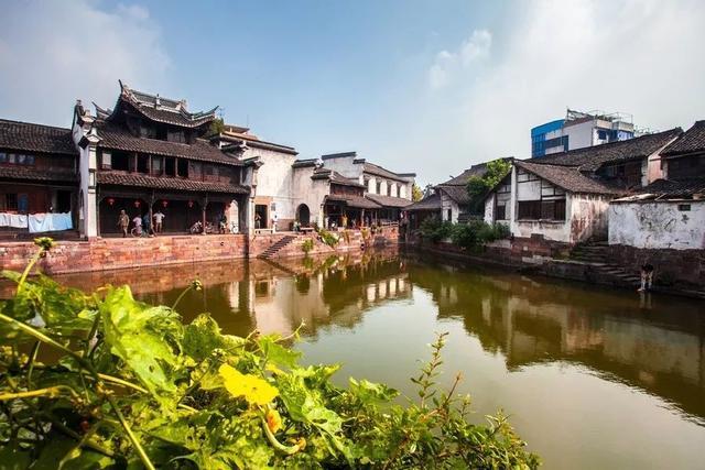 网红奶茶店前台、冷链材料实验员……寒假，杭州初中生成了职场新鲜人