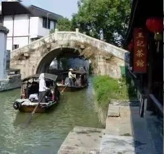 拯救机灵鸟