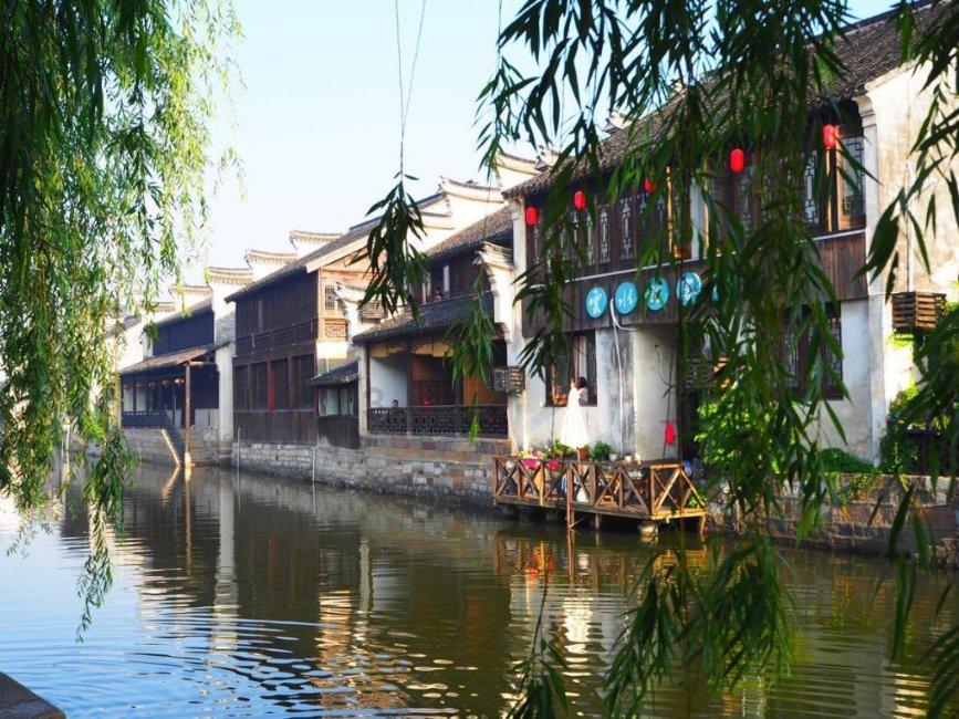 动物帮帮忙保卫家园