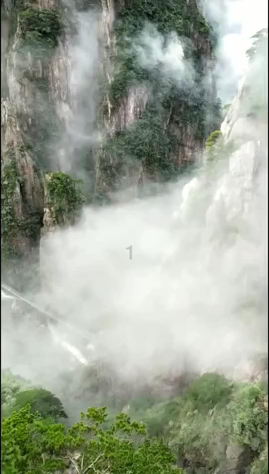 渣渣辉传奇